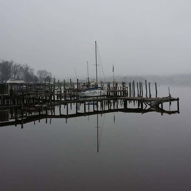 Virginia reflections